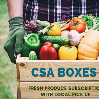 The Rise of CSA Subscriptions: Connecting Consumers with Local Agriculture