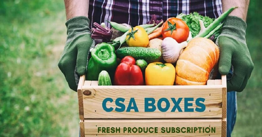 The Rise of CSA Subscriptions: Connecting Consumers with Local Agriculture